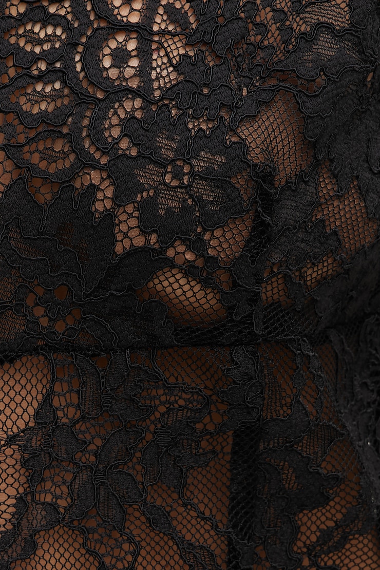 Rae Sheer Lace Sleeveless Blouse Jet Black large