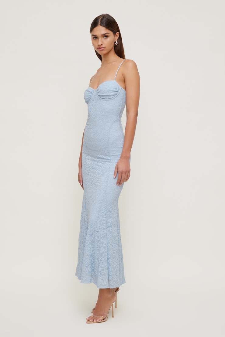 Monet Lace Overlay Maxi Dress