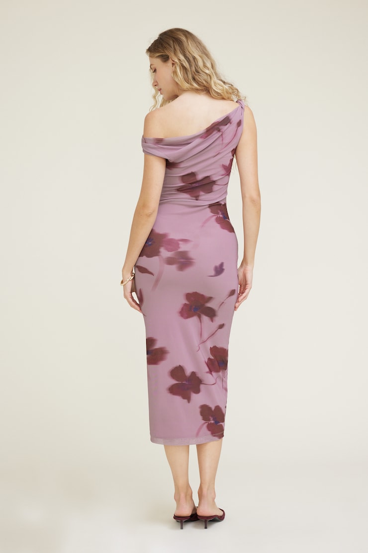 Jayde Mesh Midi Dress Pink & Red Floral large