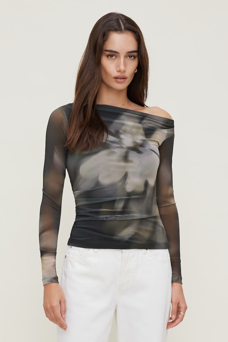 Cleo Printed Mesh Long Sleeve Top Brown | Dynamite