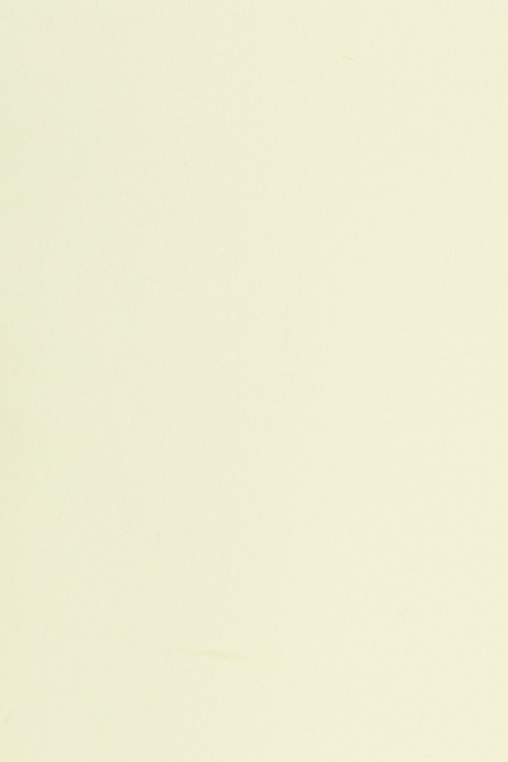 Sleek Crossover T-Shirt, Pear Sorbet Yellow, large
