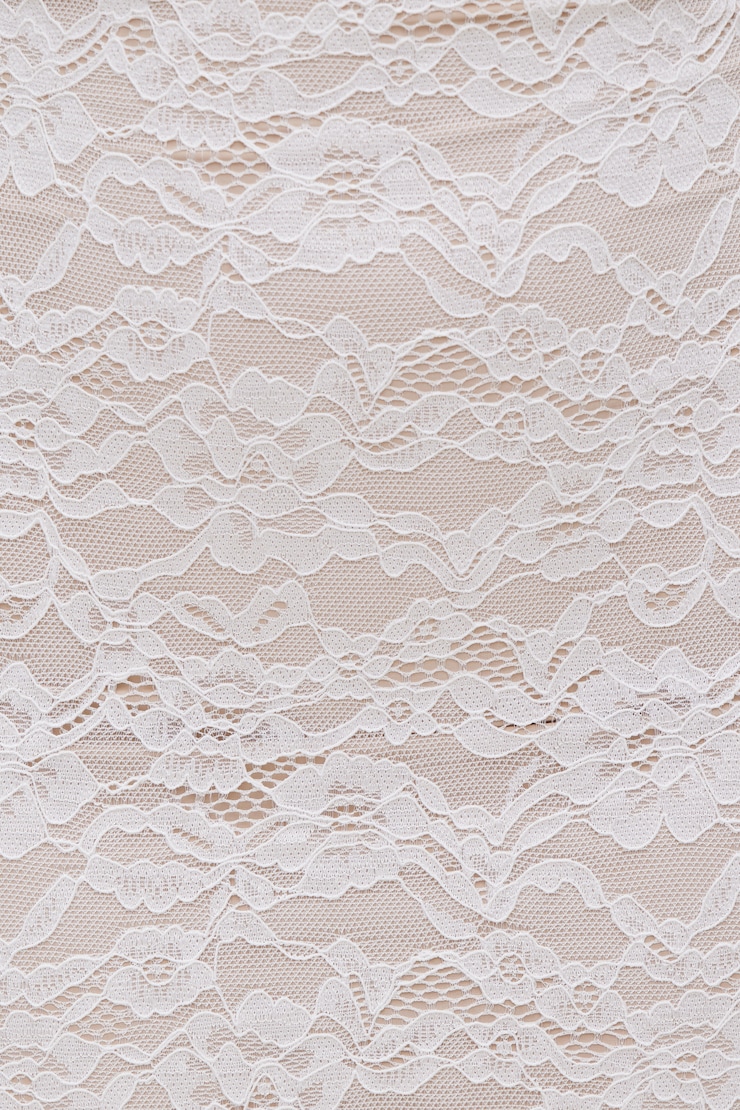 Monet Lace Overlay Maxi Dress