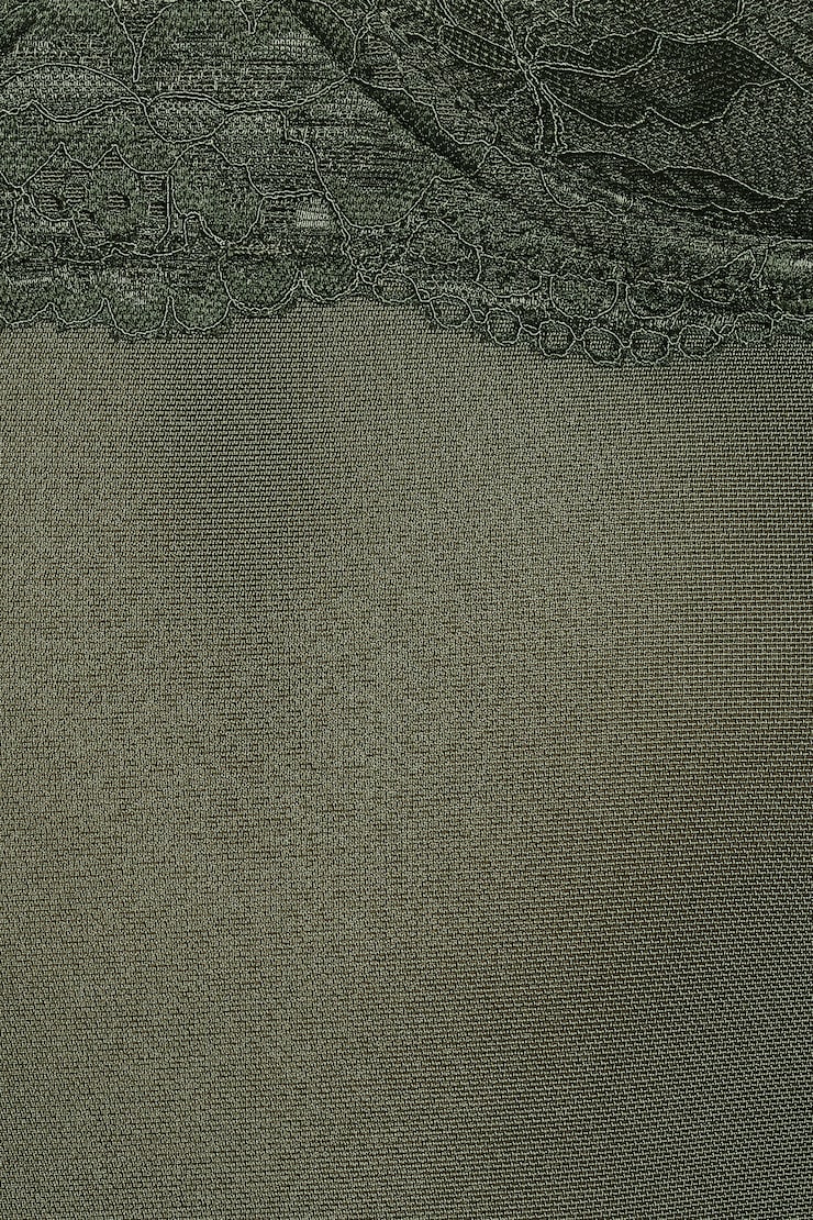 Sabrina Sheer Lace Corset Top, Olive Obsession, large