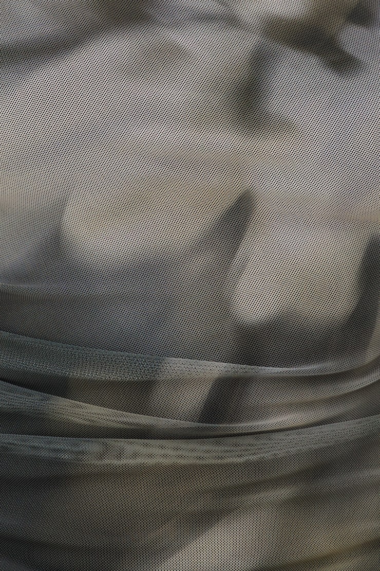 Cleo Printed Mesh Long Sleeve Top