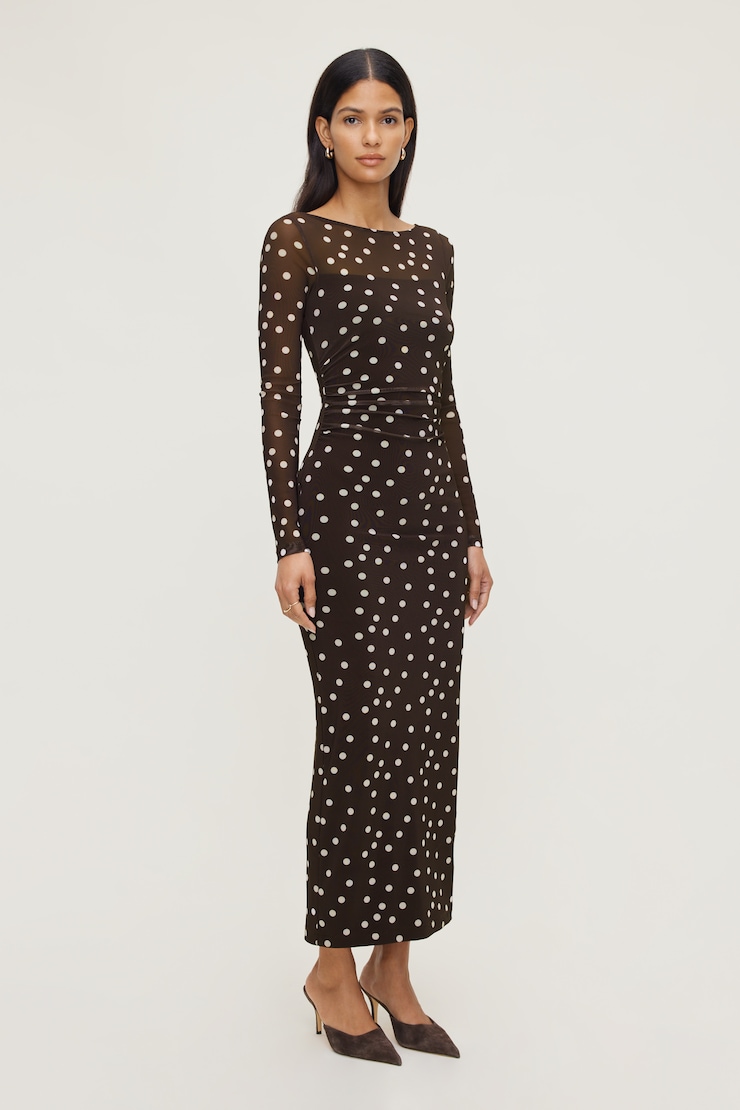Polka Dot Mesh Maxi Dress