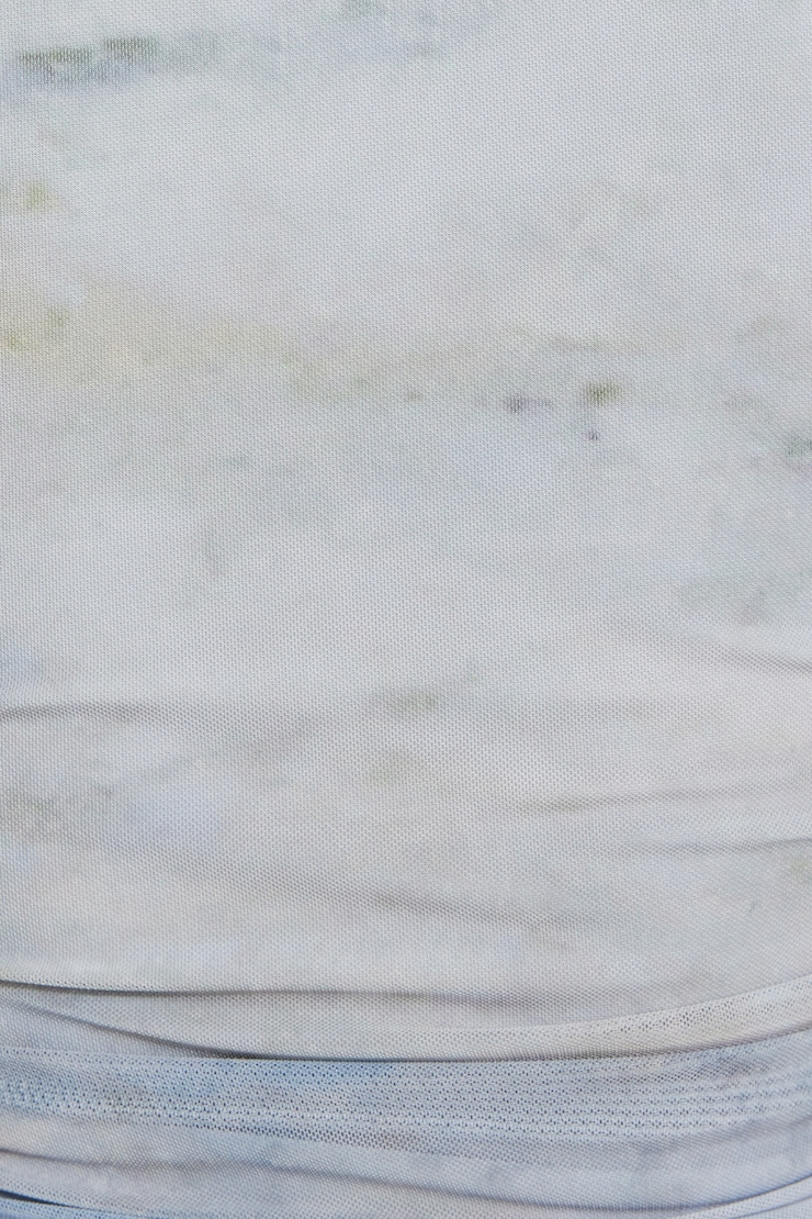 Shirred Mesh Long Sleeve Top