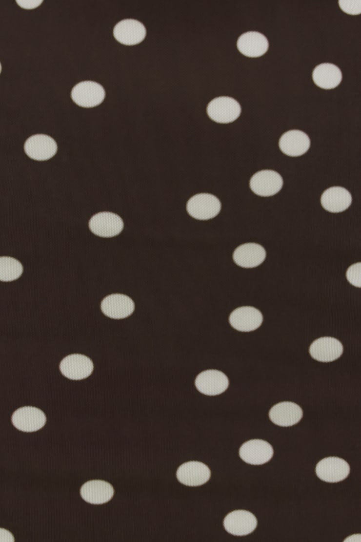 Polka Dot Mesh Maxi Dress