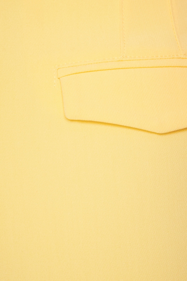 Kendall Slim Side Zip Pants Golden Haze Yellow large