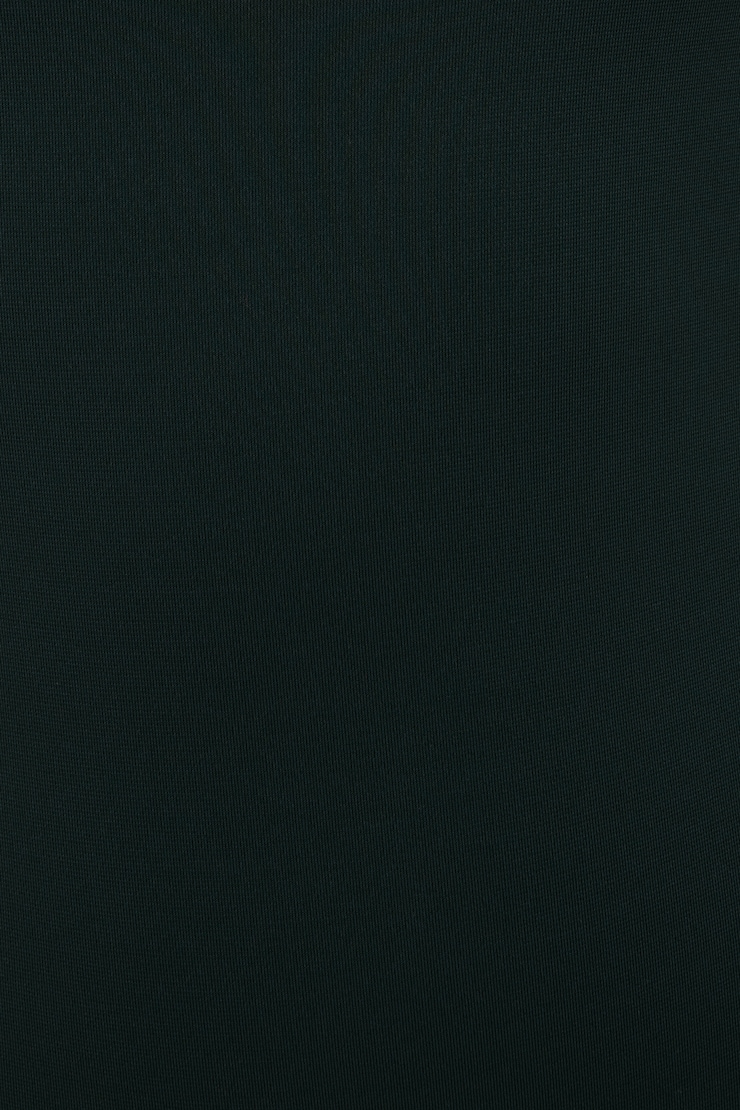 Sculpt Crewneck Bodysuit