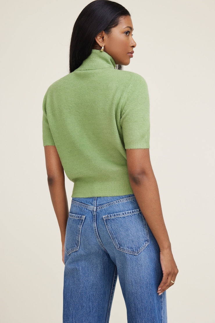Lora Short Sleeve Turtleneck Sweater