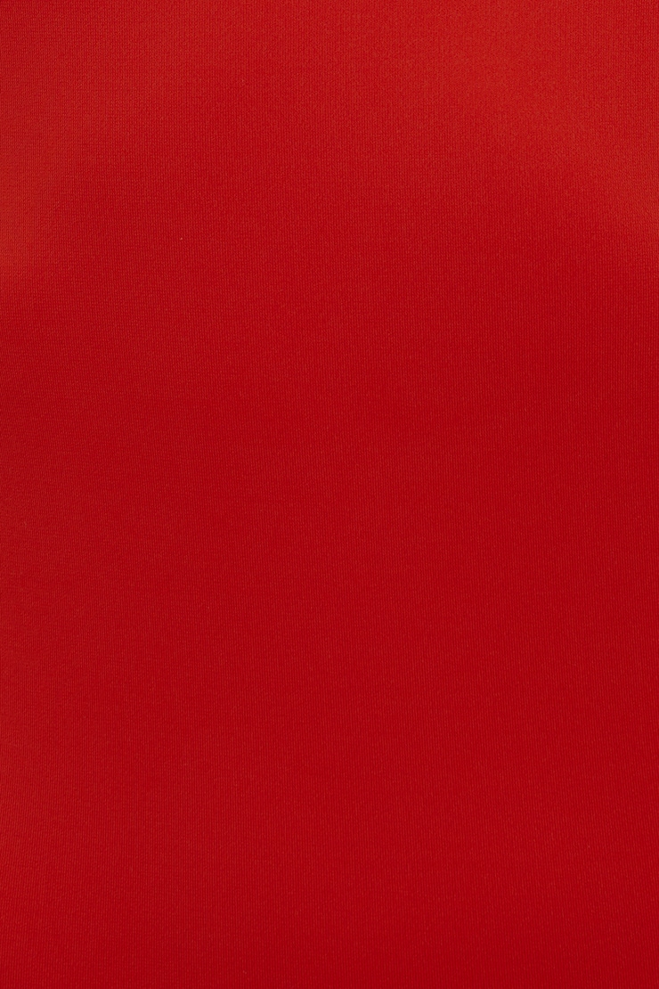 Sculpt Plunge Halter Bodysuit