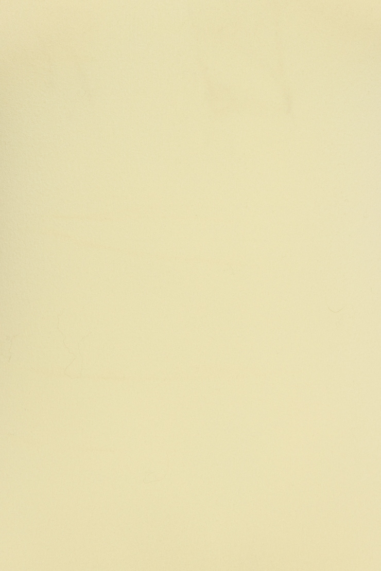 Sleek Sweetheart T Shirt, Anise Flower Yellow, large