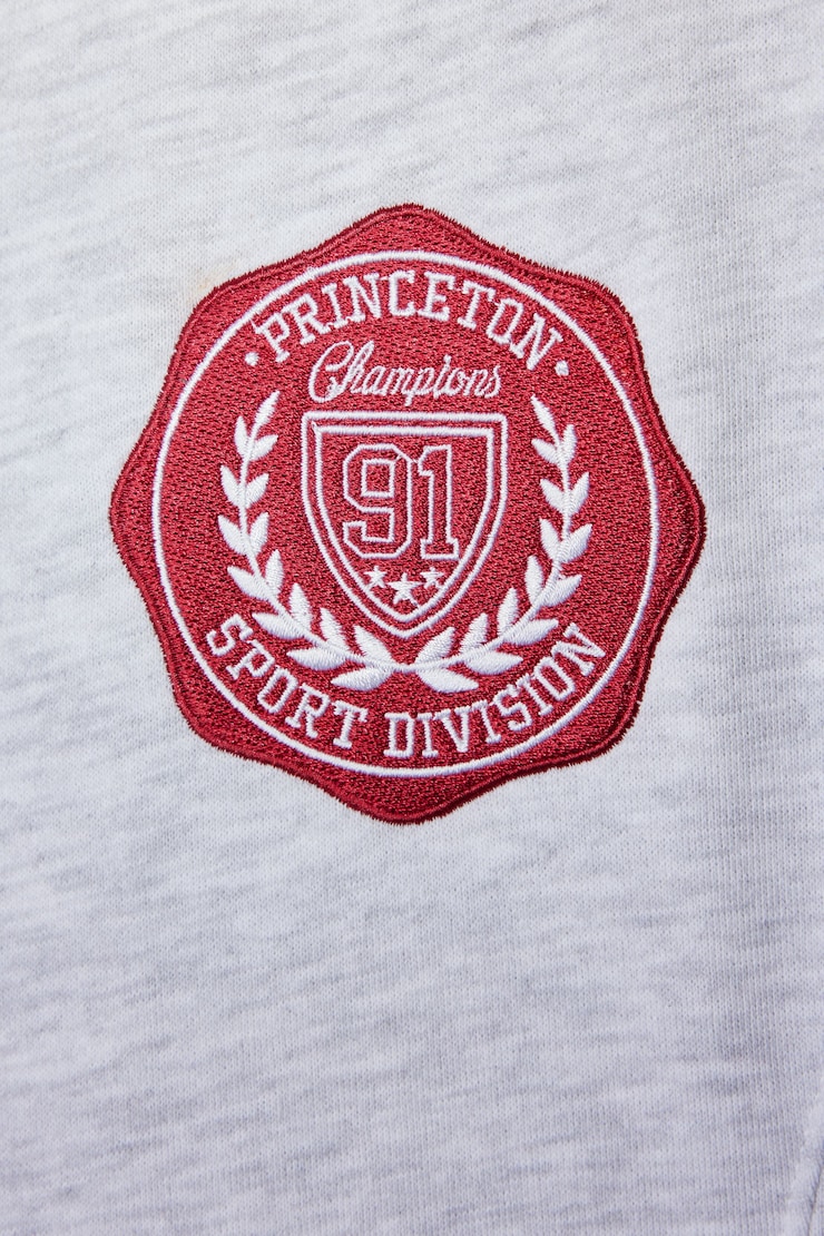Oversized Tipping V-Neck, Spring Grey Mix with "Princeton" Art, large