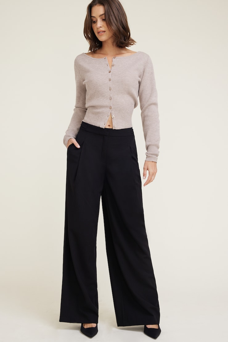 Leni Pleated Wide Leg Pants BLACK | Dynamite