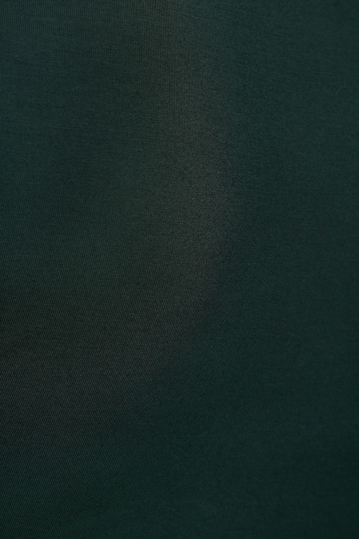 Drea Crewneck Jersey T Shirt Ponderosa Pine large