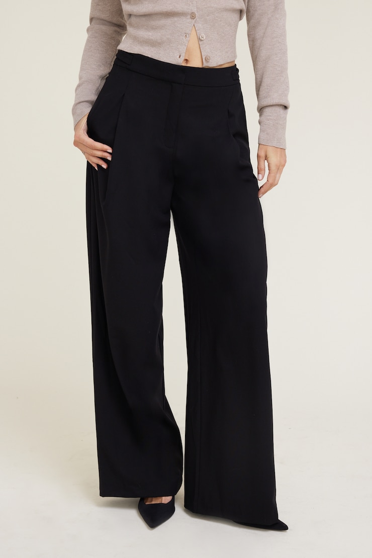 Leni Pleated Wide Leg Pants BLACK | Dynamite