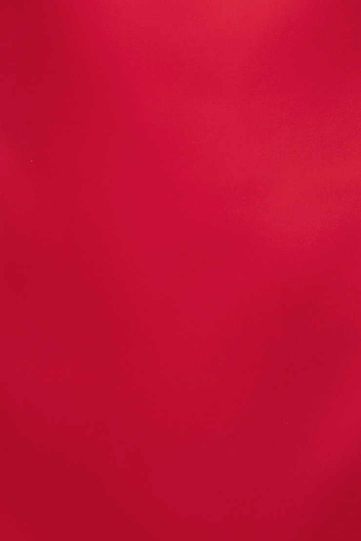 Selina Satin Mini Dress Chili Pepper Red large