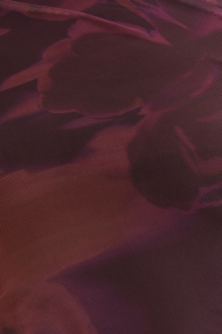 Cleo Printed Mesh Long Sleeve Top