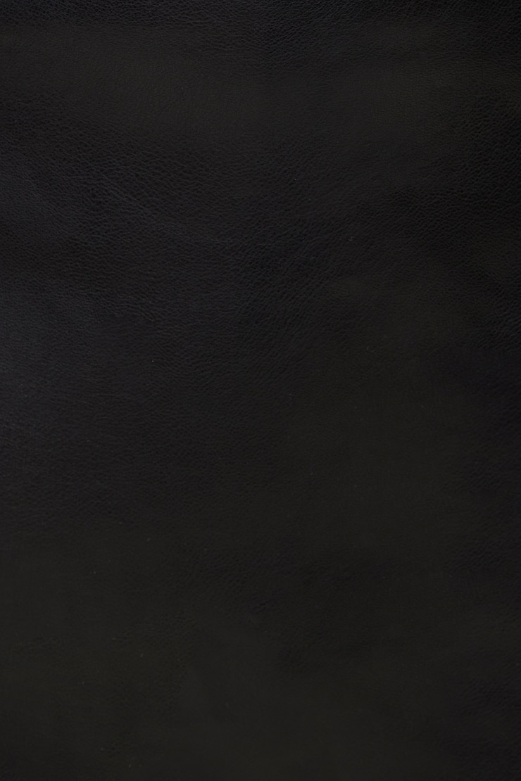 Stacie Faux Leather Mini Skort