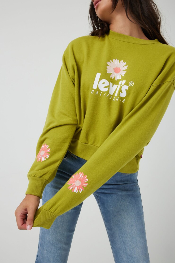 LEVI'S Graphic Vintage Crew, Split Tea, large
